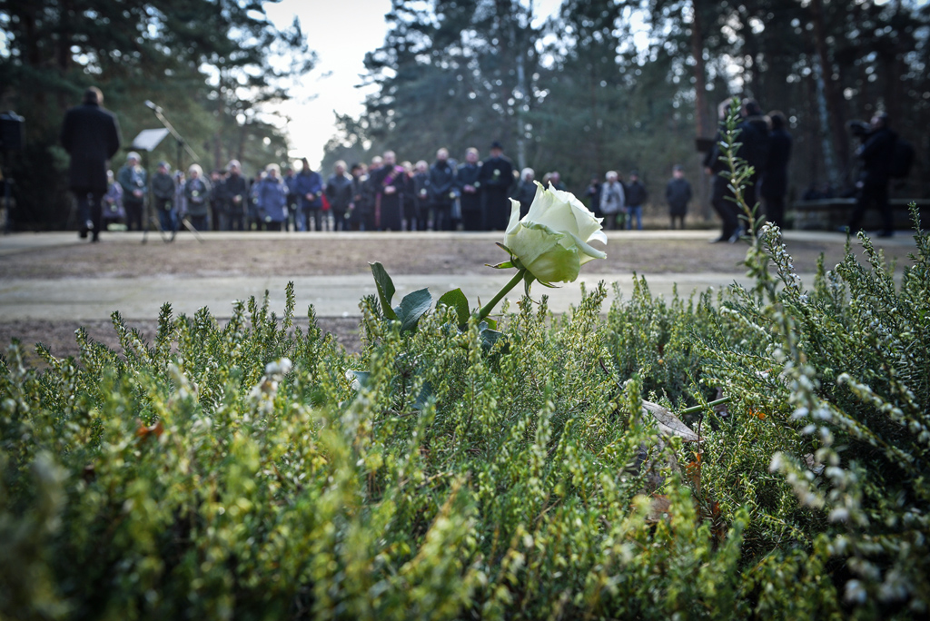 Blick über Grün und eine weiße Rose auf eine Menschengruppe