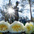 Drei weiße Rosen liegen an einer Bronze-Skulptur, im Hintergrund scheint die Sonne durch die Bäume